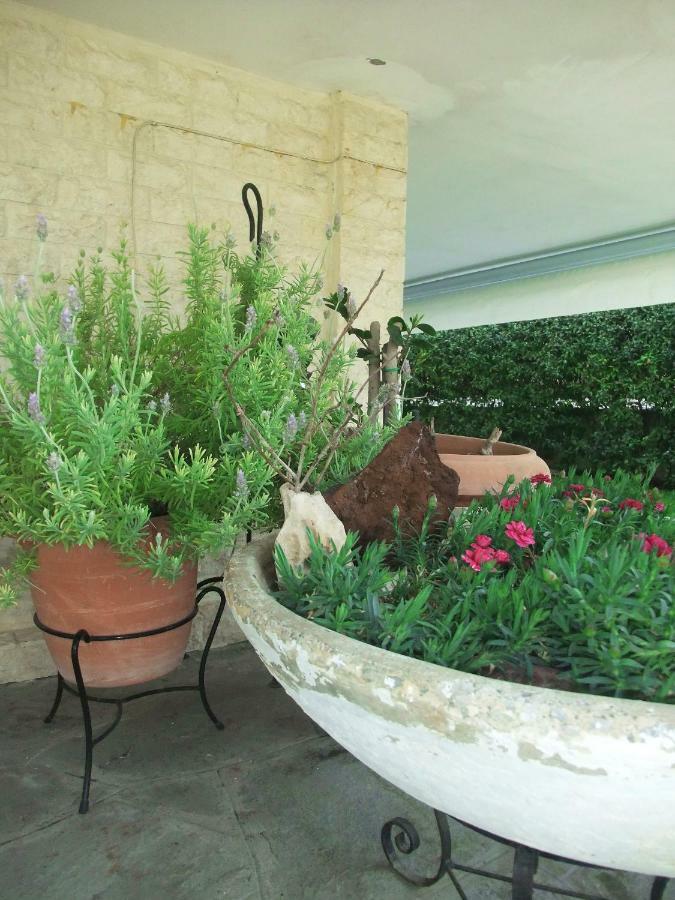 A Majestic Elegant House With A Garden Apartment Peraía Екстериор снимка